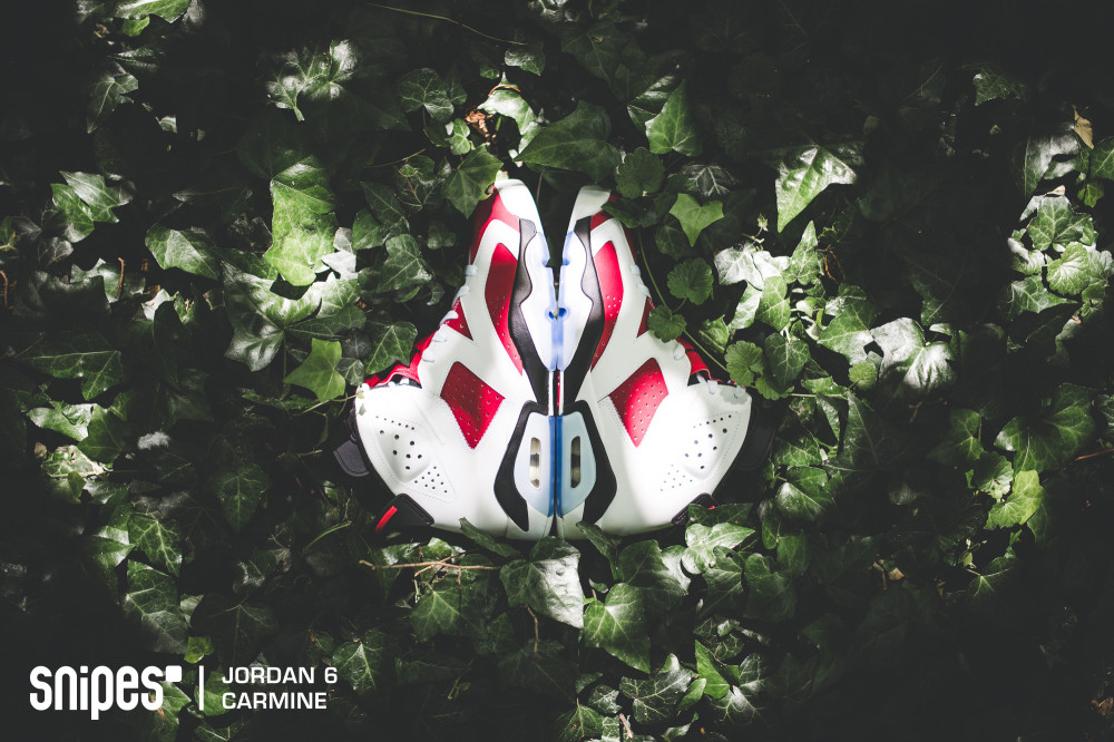 Air Jordan 6 Retro Carmine 6 1000x666