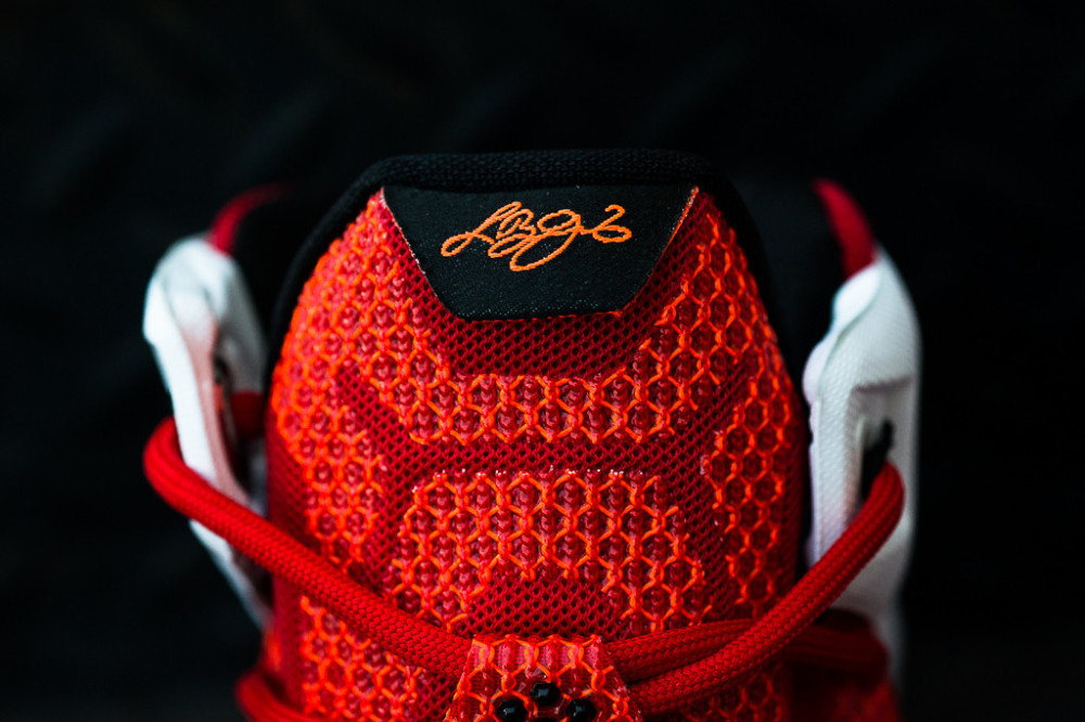 Nike LeBron 12 Heart of a Lion 8 1000x666