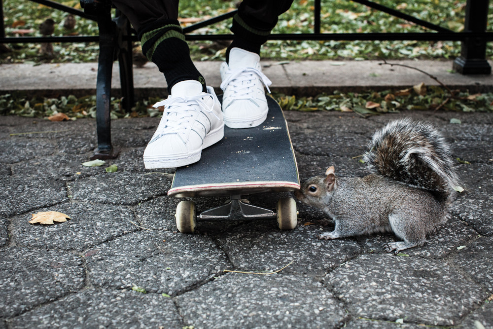 adidas Originals x Gonz Superstar 80s 26 1000x667