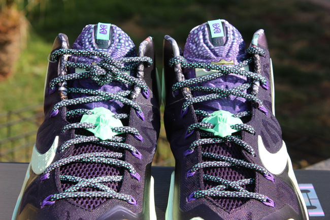 Lebron 11 gator discount king