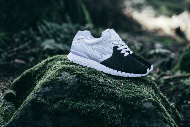 43einhalb x KangaROOS Coil R2 OVIS 5