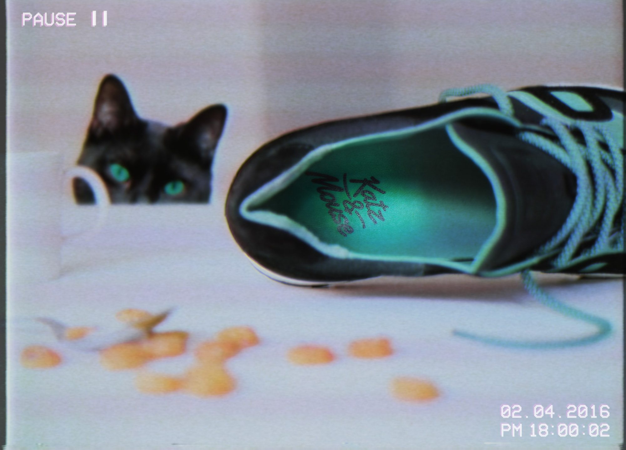 asphaltgold x Kangaroos Omnirun Katz Mouse 7